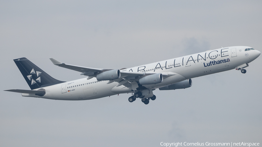 Lufthansa Airbus A340-313X (D-AIGV) | Photo 419189