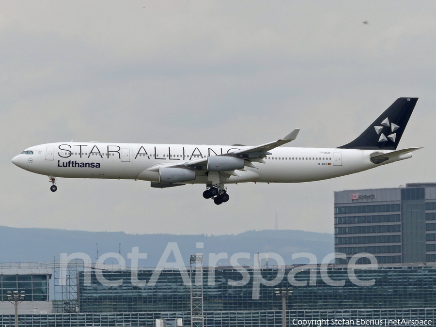 Lufthansa Airbus A340-313X (D-AIGV) | Photo 465233