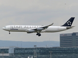 Lufthansa Airbus A340-313X (D-AIGV) at  Frankfurt am Main, Germany