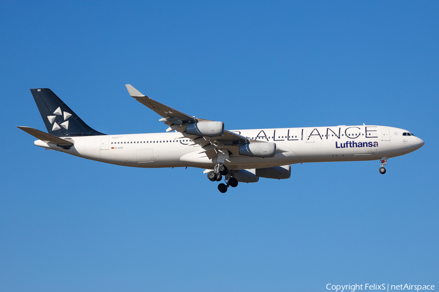 Lufthansa Airbus A340-313X (D-AIGV) | Photo 525087