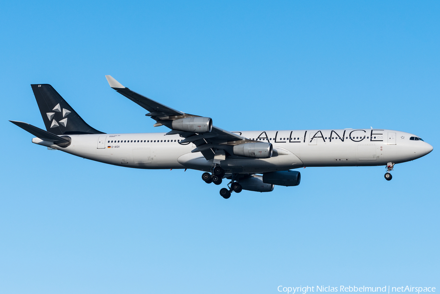 Lufthansa Airbus A340-313X (D-AIGV) | Photo 272661