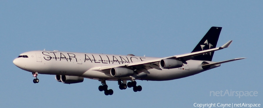 Lufthansa Airbus A340-313X (D-AIGV) | Photo 148647