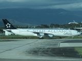 Lufthansa Airbus A340-313X (D-AIGV) at  Panama City - Tocumen International, Panama