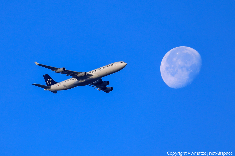 Lufthansa Airbus A340-313X (D-AIGV) | Photo 272788