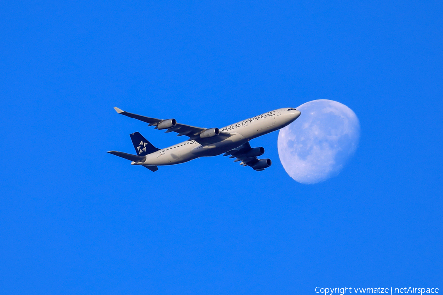 Lufthansa Airbus A340-313X (D-AIGV) | Photo 272789