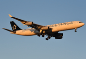 Lufthansa Airbus A340-313X (D-AIGW) at  Dallas/Ft. Worth - International, United States