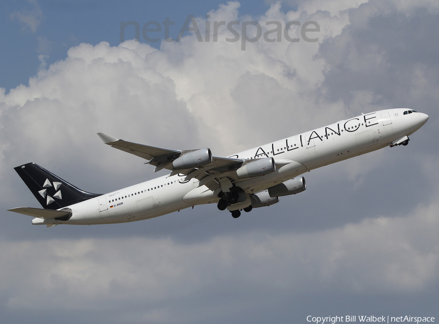 Lufthansa Airbus A340-313X (D-AIGW) | Photo 514266