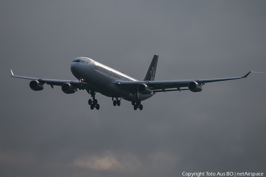 Lufthansa Airbus A340-313X (D-AIGW) | Photo 113845