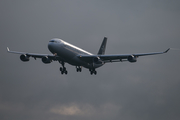 Lufthansa Airbus A340-313X (D-AIGW) at  Frankfurt am Main, Germany