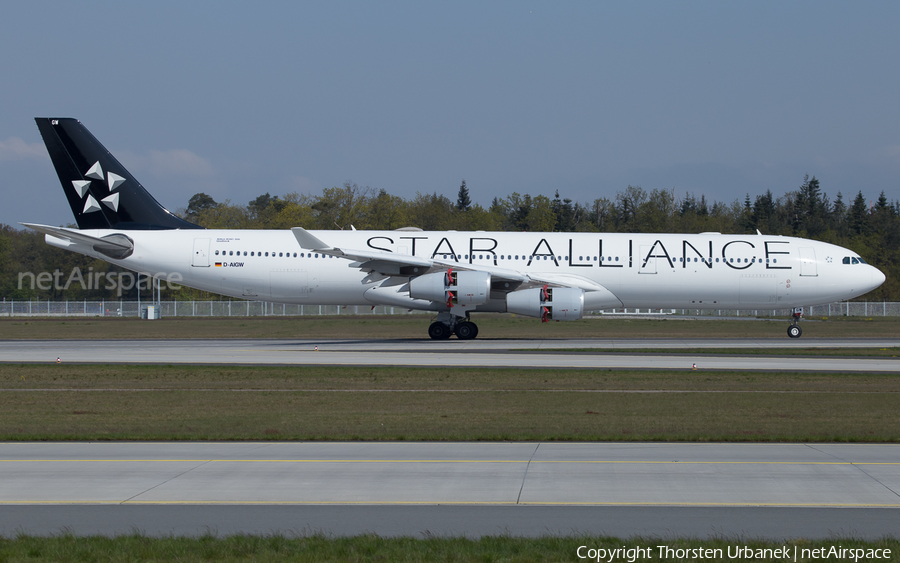 Lufthansa Airbus A340-313X (D-AIGW) | Photo 121398