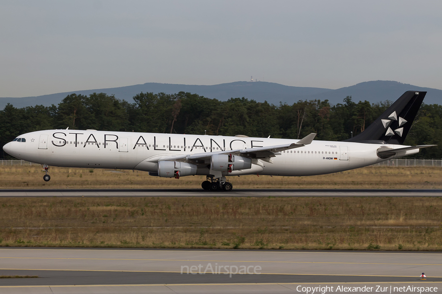 Lufthansa Airbus A340-313X (D-AIGW) | Photo 125944