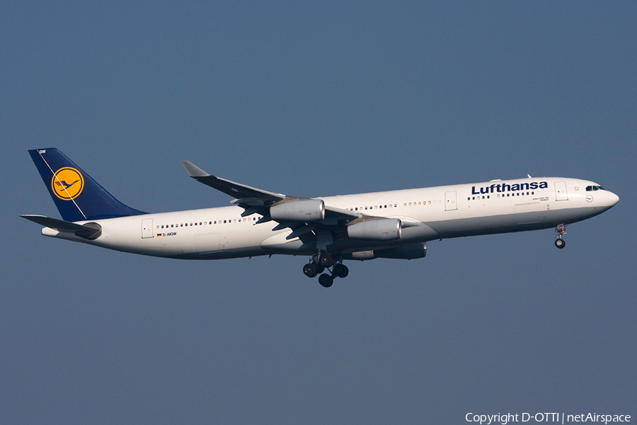 Lufthansa Airbus A340-313X (D-AIGW) | Photo 270474