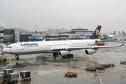 Lufthansa Airbus A340-313X (D-AIGW) at  Frankfurt am Main, Germany