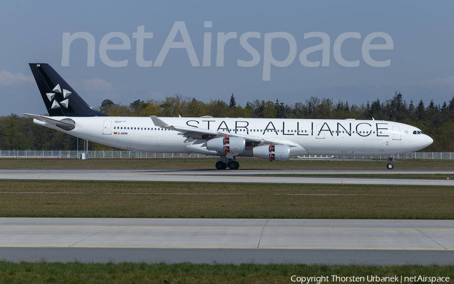 Lufthansa Airbus A340-313X (D-AIGW) | Photo 376494