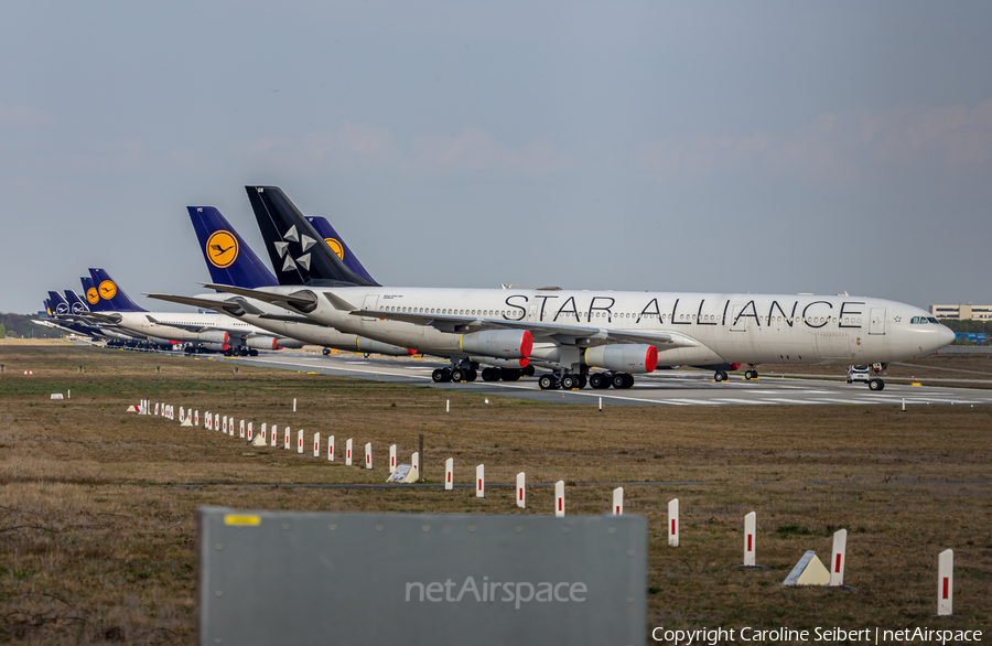 Lufthansa Airbus A340-313X (D-AIGW) | Photo 381666