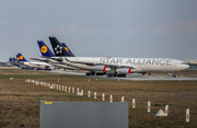 Lufthansa Airbus A340-313X (D-AIGW) at  Frankfurt am Main, Germany
