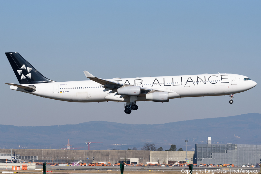 Lufthansa Airbus A340-313X (D-AIGW) | Photo 509404