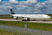 Lufthansa Airbus A340-313X (D-AIGW) at  Frankfurt am Main, Germany