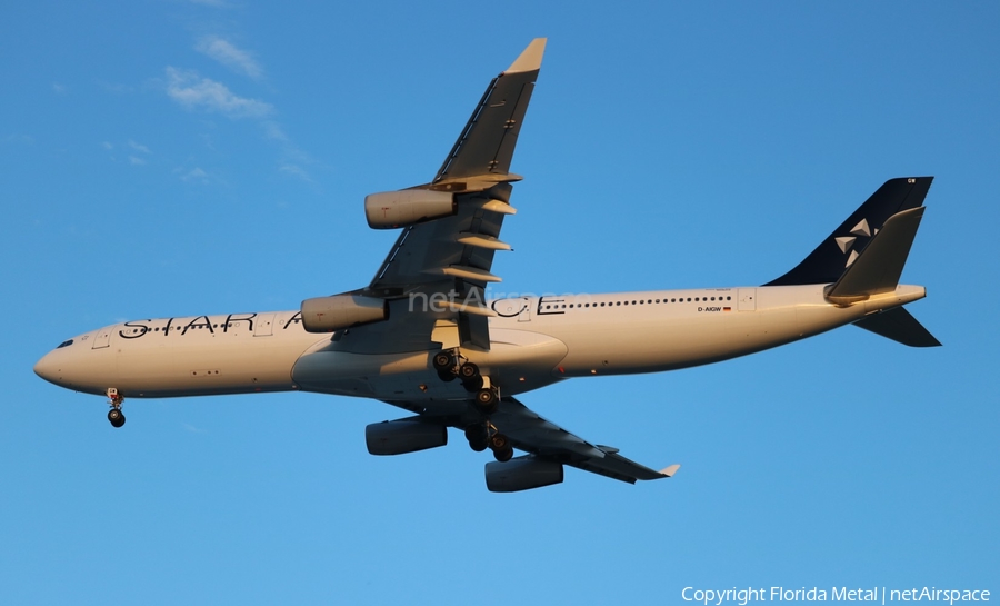 Lufthansa Airbus A340-313X (D-AIGW) | Photo 543037