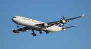 Lufthansa Airbus A340-313X (D-AIGW) at  Tampa - International, United States