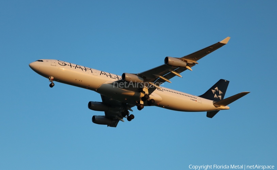 Lufthansa Airbus A340-313X (D-AIGW) | Photo 575129
