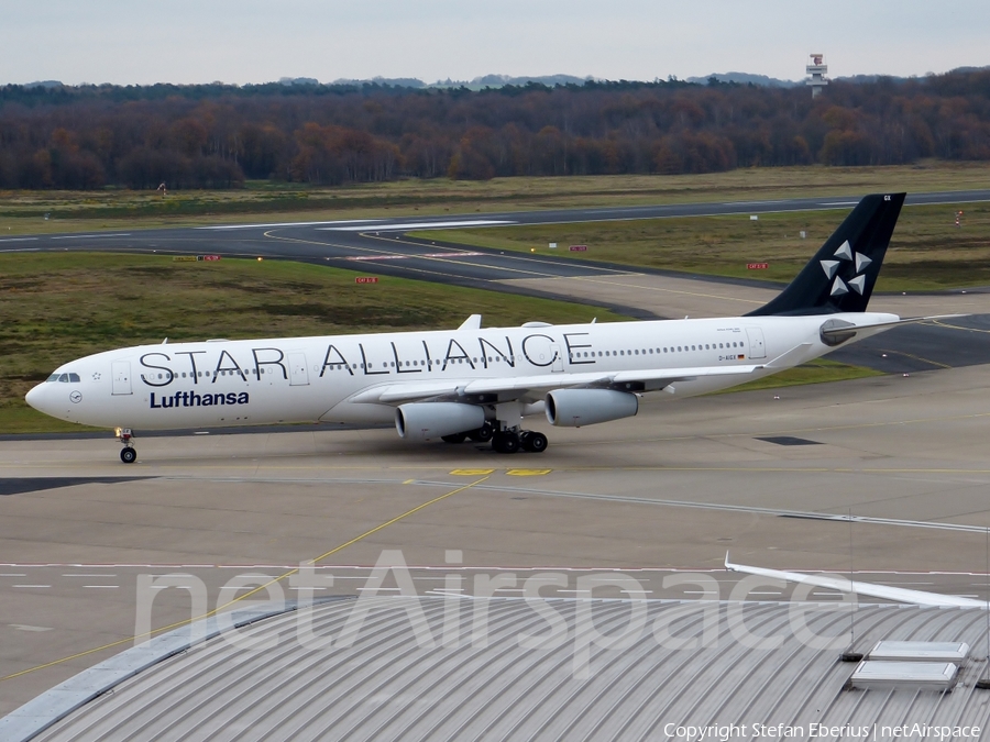 Lufthansa Airbus A340-313X (D-AIGX) | Photo 275334