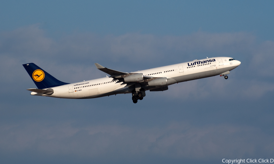 Lufthansa Airbus A340-313X (D-AIGX) | Photo 173