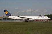 Lufthansa Airbus A340-313X (D-AIGX) at  Frankfurt am Main, Germany