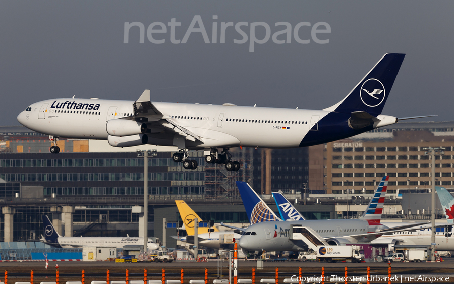 Lufthansa Airbus A340-313X (D-AIGX) | Photo 432102