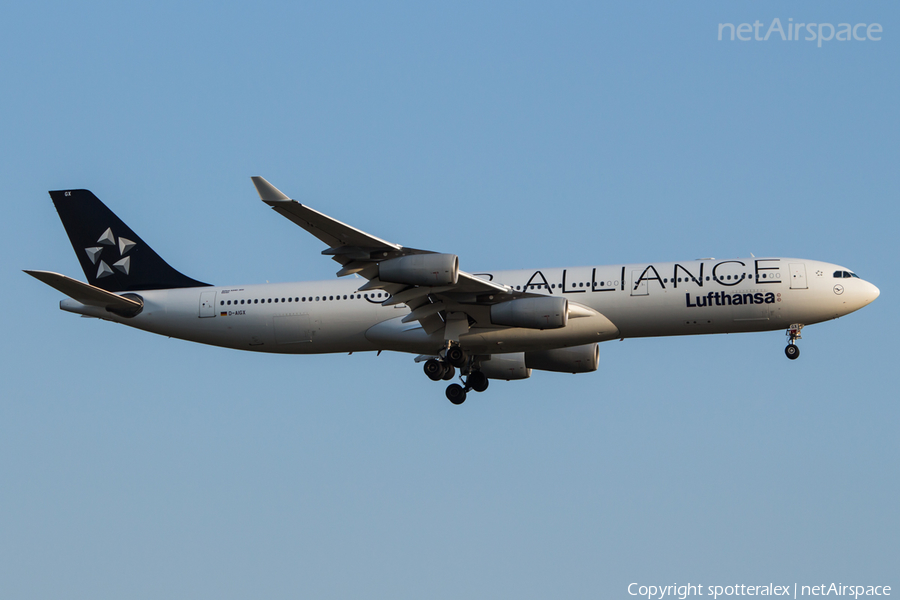 Lufthansa Airbus A340-313X (D-AIGX) | Photo 88664
