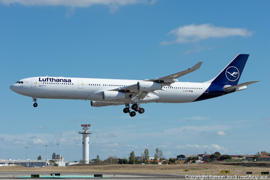 Lufthansa Airbus A340-313X (D-AIGX) | Photo 357622