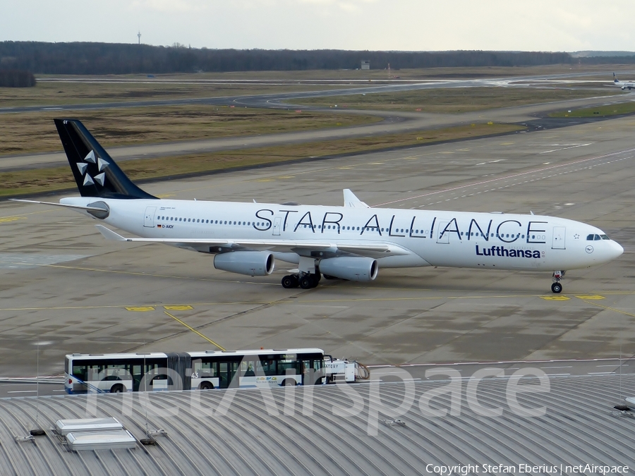 Lufthansa Airbus A340-313X (D-AIGY) | Photo 276336