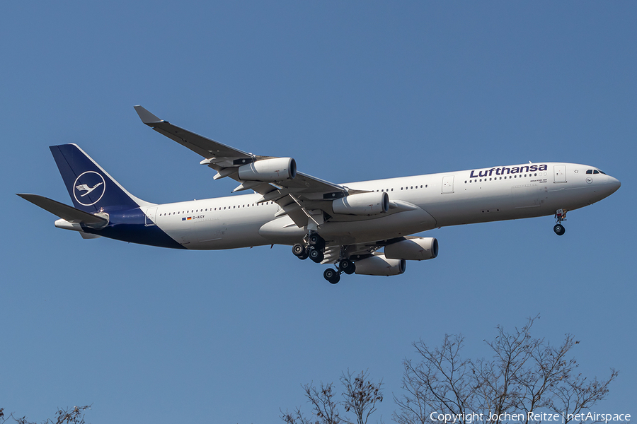 Lufthansa Airbus A340-313X (D-AIGY) | Photo 381262