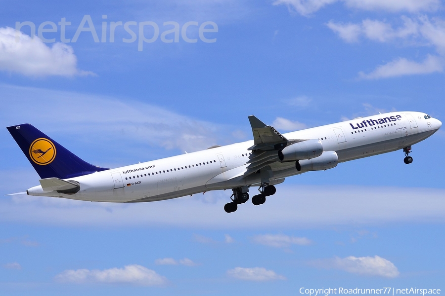 Lufthansa Airbus A340-313X (D-AIGY) | Photo 58900