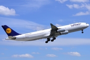 Lufthansa Airbus A340-313X (D-AIGY) at  Frankfurt am Main, Germany