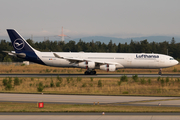 Lufthansa Airbus A340-313X (D-AIGY) at  Frankfurt am Main, Germany