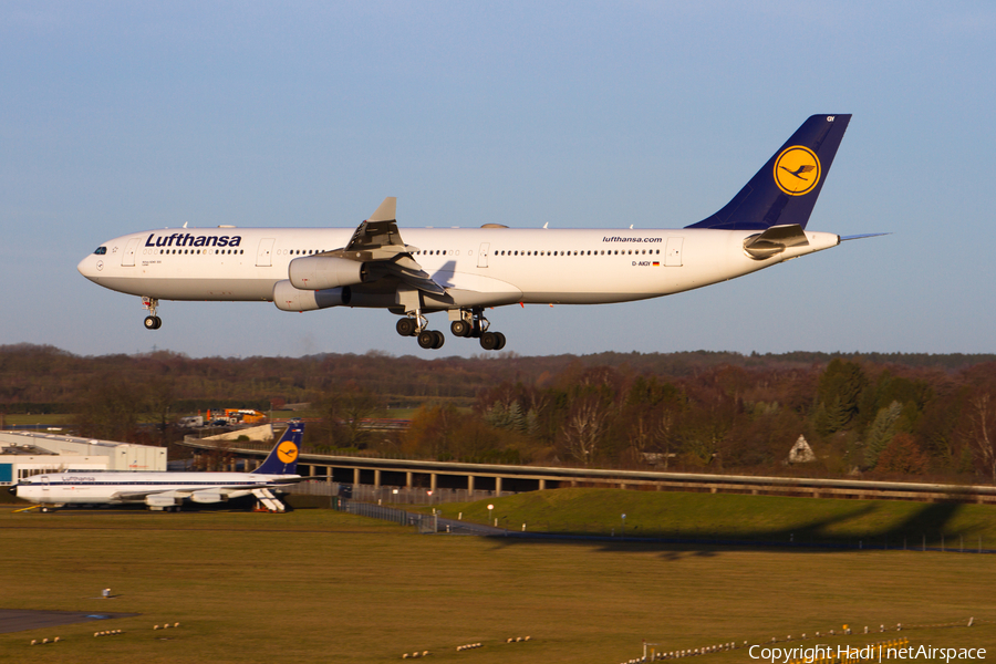 Lufthansa Airbus A340-313X (D-AIGY) | Photo 66644