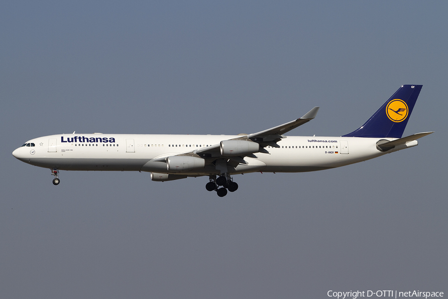Lufthansa Airbus A340-313X (D-AIGY) | Photo 379250