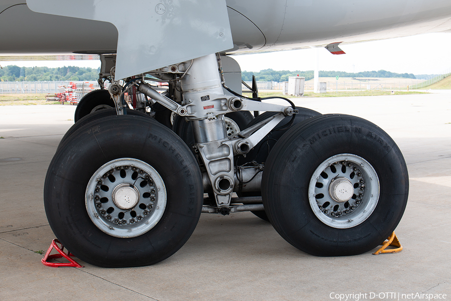 German Government Airbus A340-313X (D-AIGZ) | Photo 503641