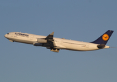 Lufthansa Airbus A340-313X (D-AIGZ) at  Dallas/Ft. Worth - International, United States