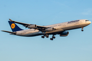 Lufthansa Airbus A340-313X (D-AIGZ) at  Frankfurt am Main, Germany