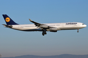 Lufthansa Airbus A340-313X (D-AIGZ) at  Frankfurt am Main, Germany