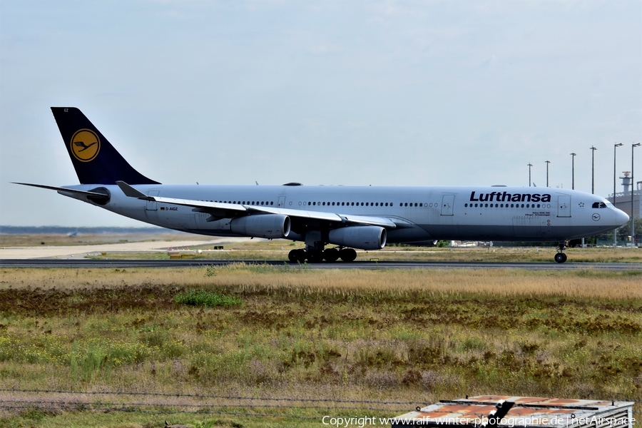 Lufthansa Airbus A340-313X (D-AIGZ) | Photo 522357