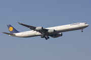 Lufthansa Airbus A340-642 (D-AIHE) at  Frankfurt am Main, Germany