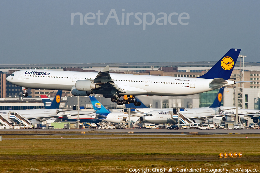Lufthansa Airbus A340-642 (D-AIHH) | Photo 3465