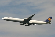 Lufthansa Airbus A340-642 (D-AIHH) at  Frankfurt am Main, Germany