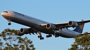 Lufthansa Airbus A340-642 (D-AIHL) at  Frankfurt am Main, Germany