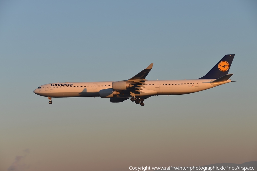 Lufthansa Airbus A340-642 (D-AIHL) | Photo 351682