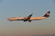 Lufthansa Airbus A340-642 (D-AIHL) at  Frankfurt am Main, Germany