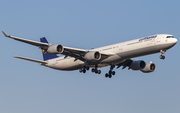 Lufthansa Airbus A340-642 (D-AIHL) at  Frankfurt am Main, Germany